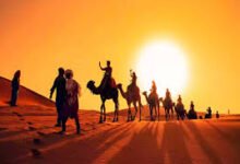 فخوذ قبيلة جهينة