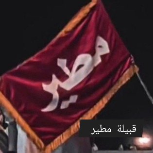شجرة مطير