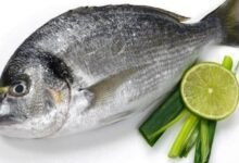 فوائد السمك للنساء