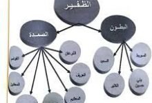 الظفيري وش يرجع