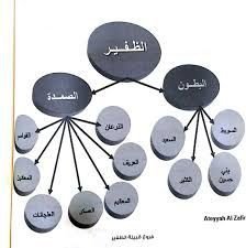 الظفيري وش يرجع