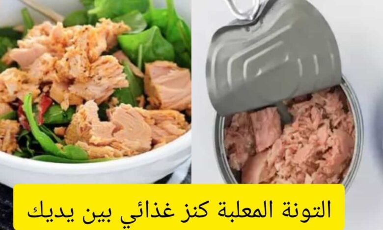 التونة المعلبة كنز غذائي بين يديك