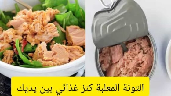 التونة المعلبة كنز غذائي بين يديك