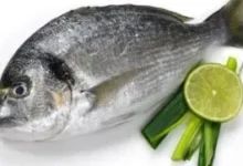 فوائد السمك للرجال