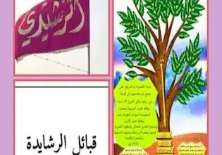 الرشايدة
