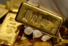 صعود أسعار الذهب