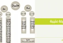 اطيب فخوذ العتبان