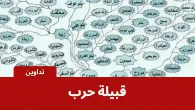 نسب قبيلة حرب