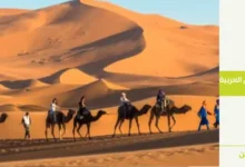 قبائل حرب