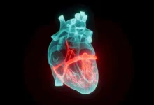 الذبحة الصدرية : فهم ألم الصدر وإنذار القلب