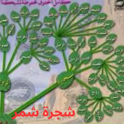 شجرة شمر سنجارة