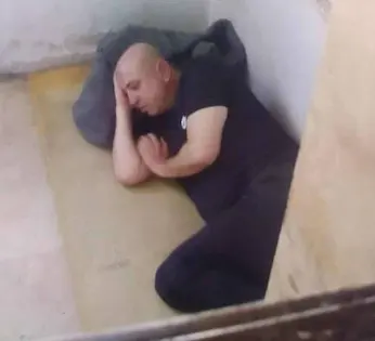 وسيم الأسد