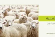 يوم النحر في الاسلام : يوم العيد الأكبر وذروة المناسك