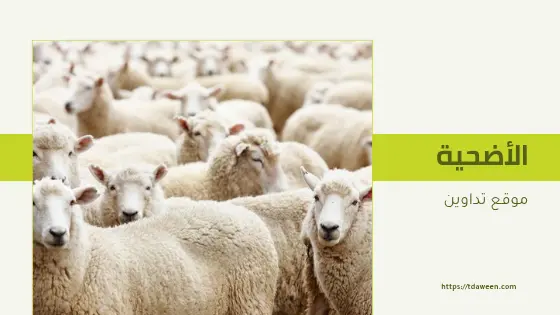 شروط الأضحية وأهميتها في الإسلام
