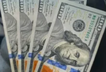 الانهيار المتواصل للريال اليمني: أزمة وطنية تفتك ببقايا العيش الكريم