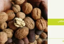 فوائد الجوز البرازيلي