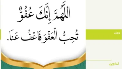 اللهم إنك عفو كريم تحب العفو فاعف عني : ابتهالات التائبين