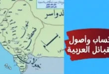 أصل قبيلة الحكمي : جذور ضاربة في عمق التاريخ القحطاني