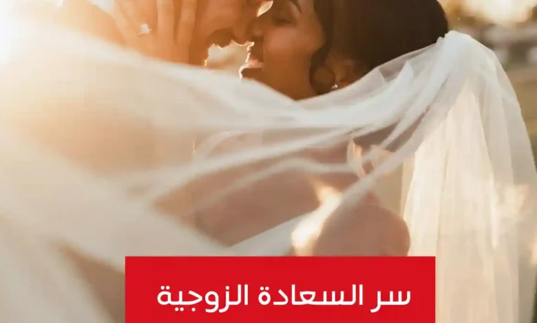 سر السعادة الزوجية: رحلة في عمق العلاقة الزوجية وأسرار التوازن