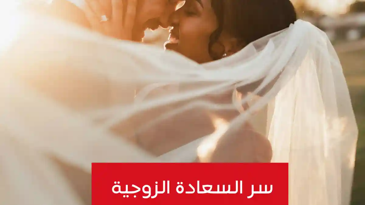 سر السعادة الزوجية: رحلة في عمق العلاقة الزوجية وأسرار التوازن