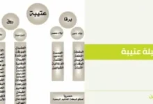 مشجرة قبيلة عتيبة التي تنتمي إليها أفخاذ الرولة