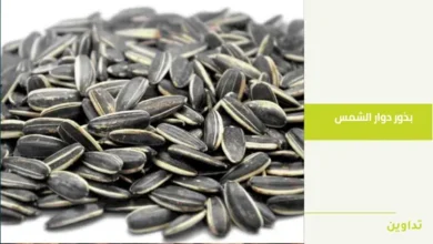 اضرار بذور عباد الشمس