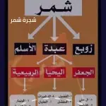 شجرة شمر وتظهر فروعها الثلاثة الرئيسية زوبع وعبده والأسلم