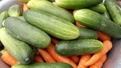 الجزر والخيار الوان براقة وفوائد متعددة